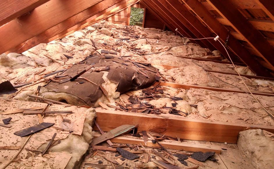 insulation removal houston